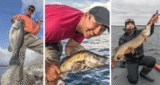 Chasing Monsters: The Worlds Premier Destinations for Trophy Fishing